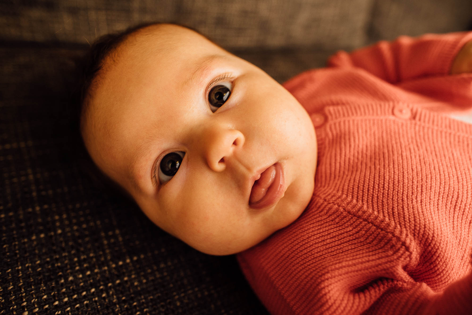 Export x3 5D4 0496 Familyfotoshooting 2020 Rossbach